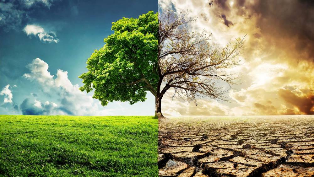 L’Écologie et la Transition Énergétique : Un Enjeu Crucial pour l’Avenir de la Planète